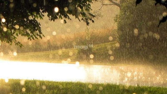 Giấc mơ thấy cả mưa và nắng là dấu hiệu tích cực cho chuyện tình duyên của bạn, báo hiệu một thời kỳ hạnh phúc sắp đến.