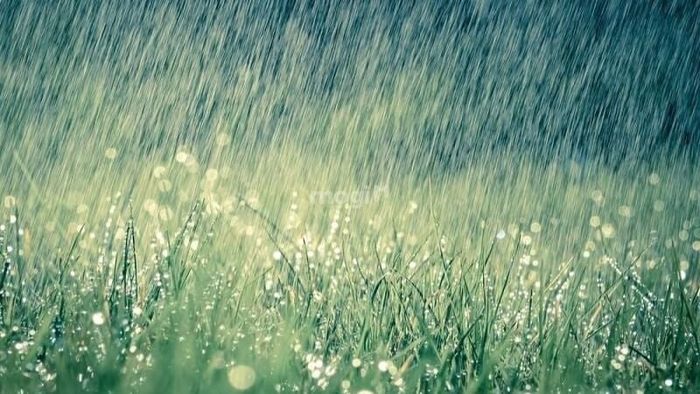 Điềm báo của giấc mơ thấy mưa có thể là tốt hay xấu, tùy thuộc vào từng hoàn cảnh cụ thể trong giấc mơ của bạn.