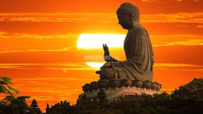 Sau khi hóa giải bát hương bản mệnh, gia chủ cần tiếp tục giữ lòng thành kính và tâm hướng đúng Chánh Pháp