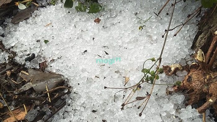 138bet - Bí Ẩn Đằng Sau Đám Mây Xám