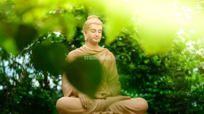 Thay vì tìm kiếm sự bảo vệ từ những hình thức thờ cúng khác, bạn hãy hướng tâm về Tam Bảo