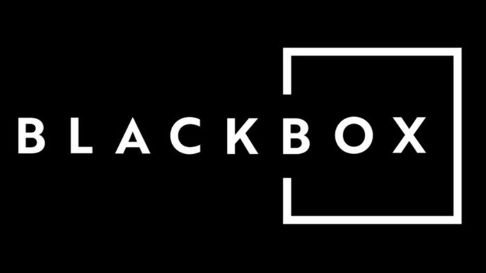 blackbox-ai-12