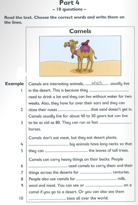 Flyers Reading and Writing Phần 4
