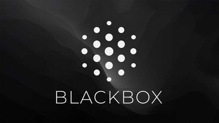 blackbox-ai-14
