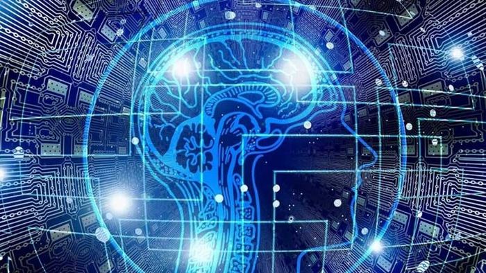 blackbox-ai-11