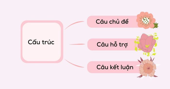 Bố cục đoạn văn tiếng Anh