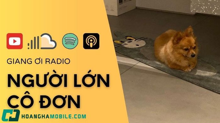 podcast-15