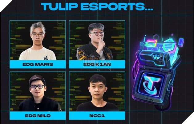 ĐTCL Esports Mùa 14: 4 Tuyển Thủ Việt Nam Góp Mặt Tại Esports World Cup 2025