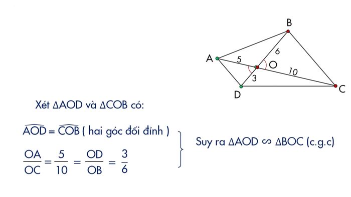 Toán 8 các trường hợp đồng dạng của tam giác