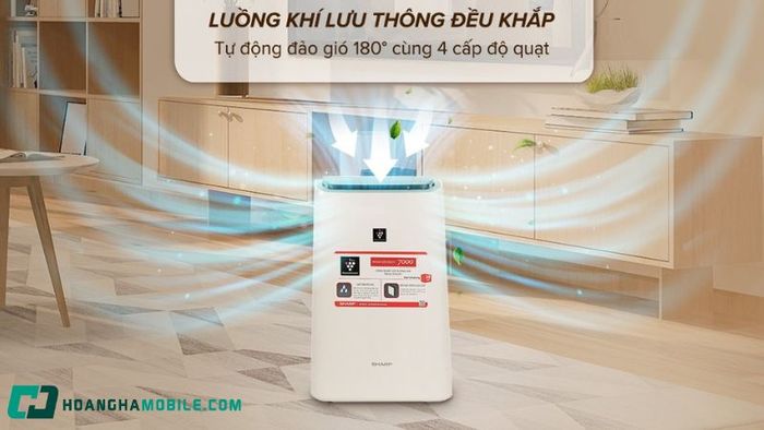 quat-hoi-nuoc-17