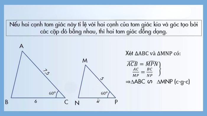 Toán 8 các trường hợp đồng dạng của tam giác