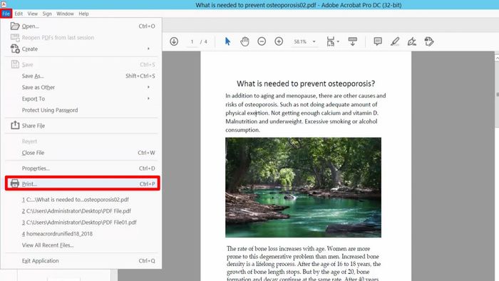 Hình minh họa bước 1 định dạng lại Font chữ và hình ảnh để khắc phục lỗi in PDF