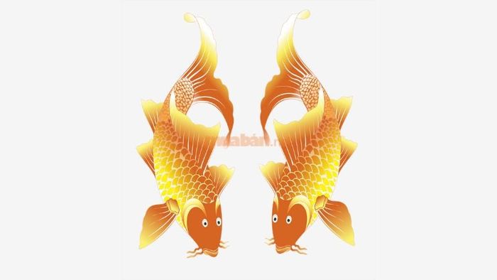 Khám phá chi tiết ý nghĩa của từng giấc mơ cá chép