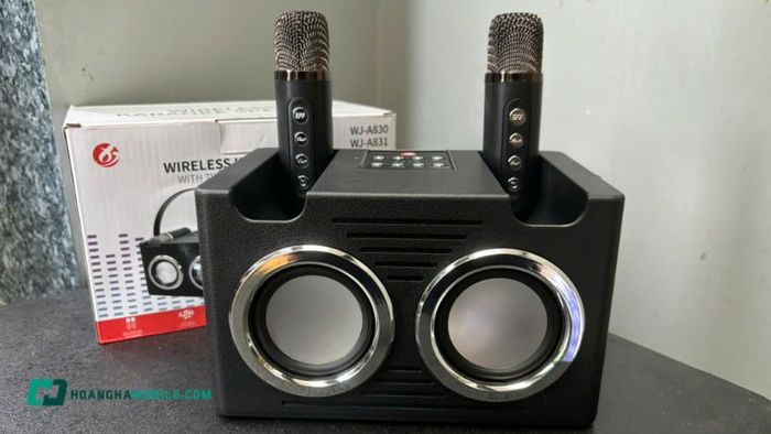 loa-karaoke-mini-4