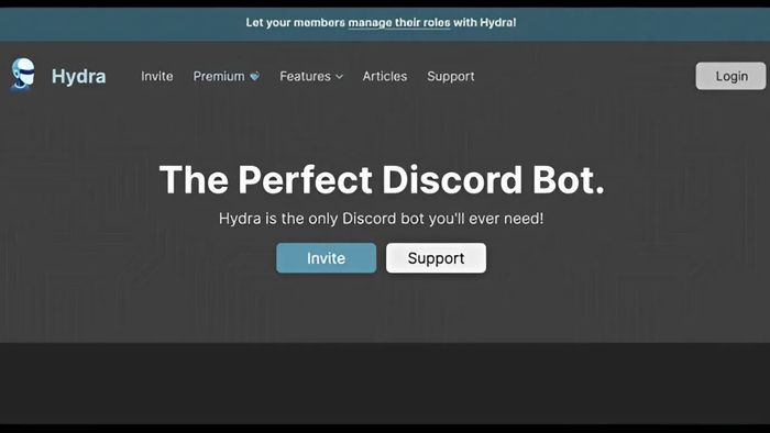 Cách thêm Music bot vào Discord - bước 1,2