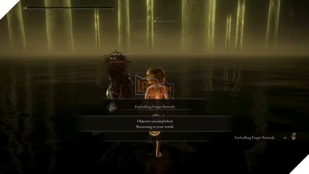 Một nữ game thủ đã tham gia hạ gục trùm cuối của Elden Ring hơn 10.000 lần.