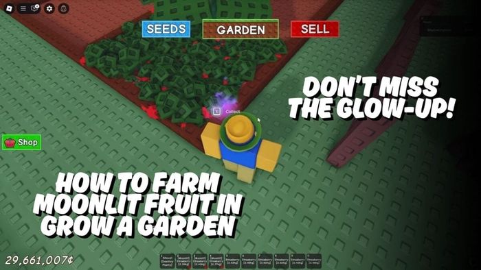 Đừng bỏ lỡ cơ hội tỏa sáng! Cách trồng Trái Cây Ánh Trăng trong Grow a Garden – Bìa