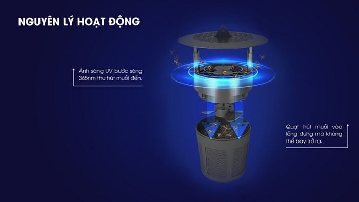den-bat-muoi-2