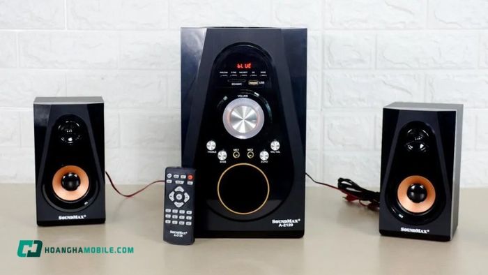 loa-vi-tinh-5