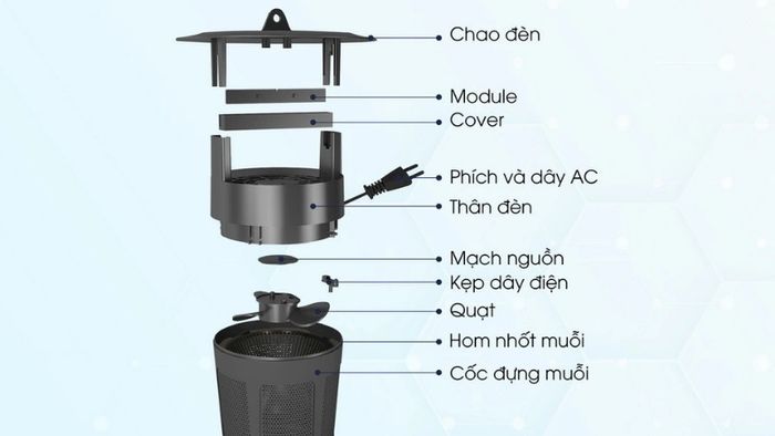 den-bat-muoi-1