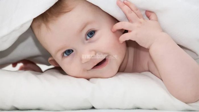Ý nghĩa của việc sinh con vào giờ Sửu là gì?