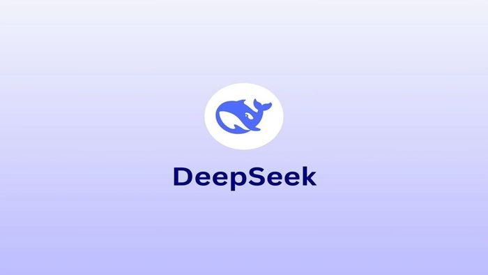 deepseek-pc-13