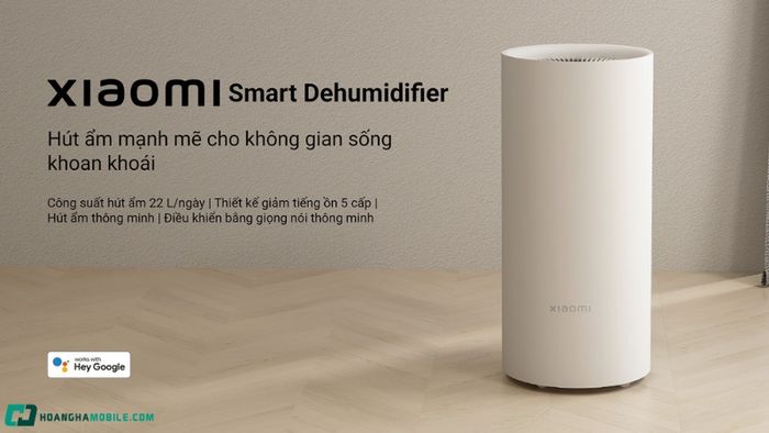 May-hut-am-17