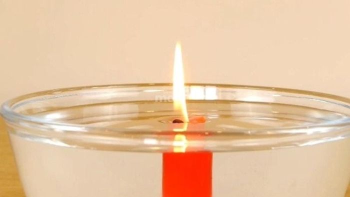 Phương pháp phòng ngừa mối bay vào nhà hiệu quả