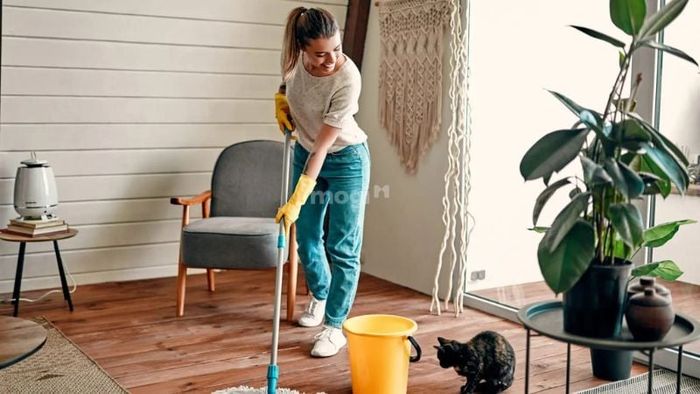 Phương pháp ngăn ngừa mối bay vào nhà hiệu quả