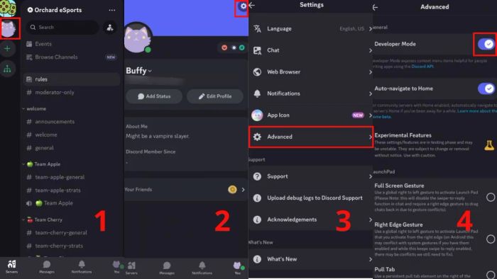 Hướng dẫn cách thiết lập ID Discord - Bật chế độ nhà phát triển