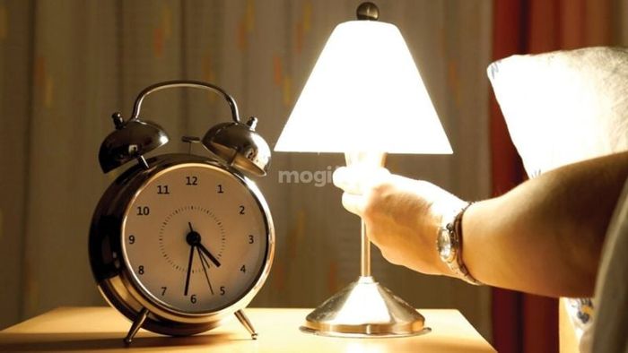 Biện pháp phòng ngừa mối bay vào nhà hiệu quả