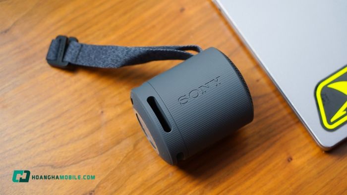 Loa Sony 10