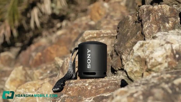 Loa Sony 20