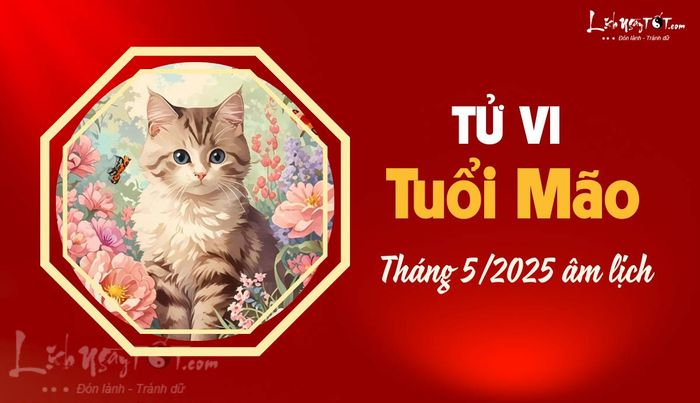 Tử vi tháng 5/2025 cho tuổi Mão âm lịch