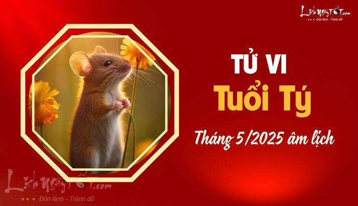 Tử vi tháng 5/2025 cho tuổi Tý âm lịch