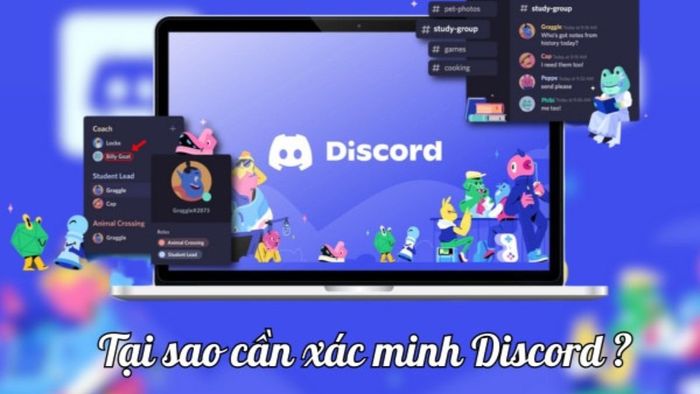 Lý do nên xác minh tài khoản Discord