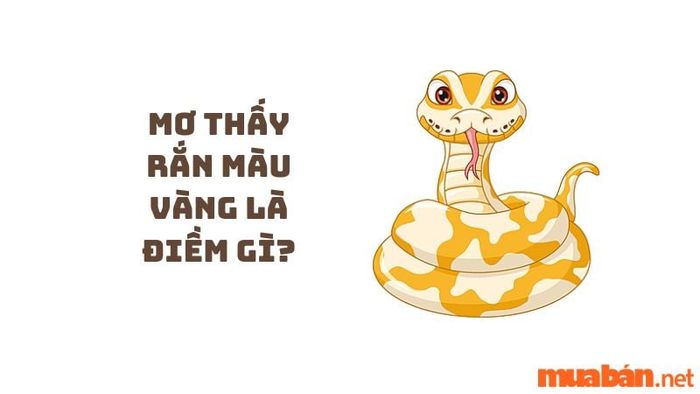 Mơ thấy rắn vàng báo hiệu điều gì?