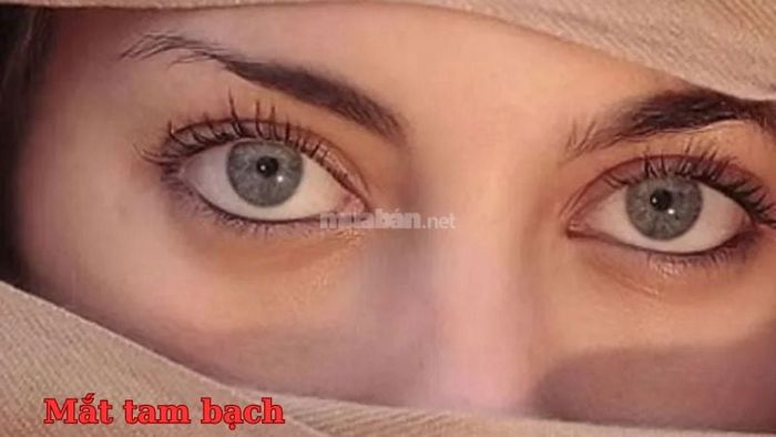 Mắt tam bạch là gì?