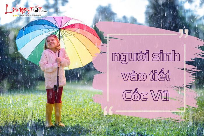 Vận mệnh người sinh vào tiết Cốc Vũ
