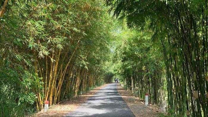 Danh lam thắng cảnh Đồng Tháp - hình ảnh 3