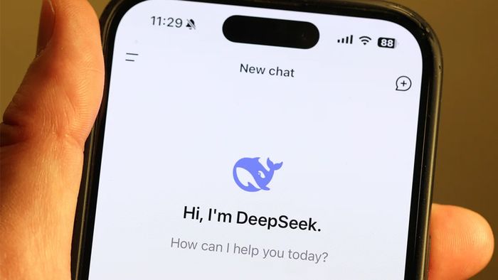 deepseek-la-gi-6
