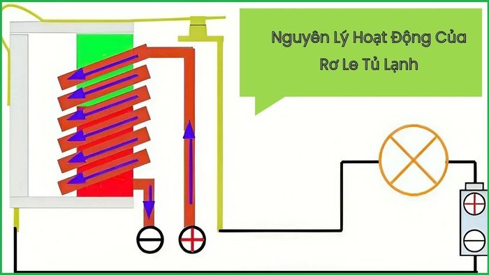 Hướng dẫn cách kiểm tra rơ le nhiệt của tủ lạnh