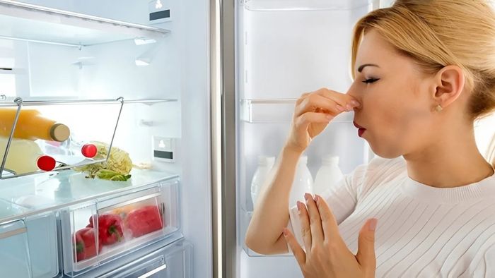 Lớp băng lâu ngày gây mùi hôi trong tủ lạnh