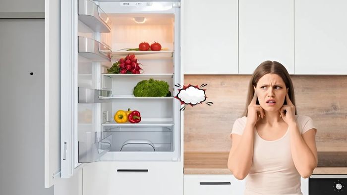 Tiếng ồn do băng tuyết dày gây ra trong tủ lạnh