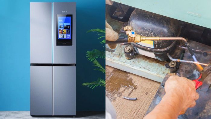 Gas tủ lạnh đóng vai trò thiết yếu