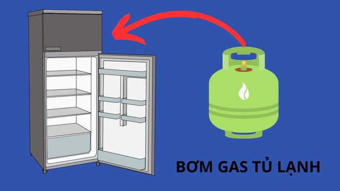 Xác định loại gas của tủ lạnh là điều cần làm trước khi bơm