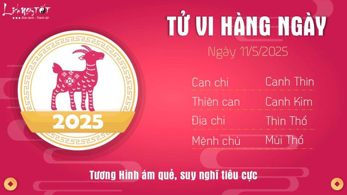 Tu vi hang ngay 11/5/2025 cua Mui