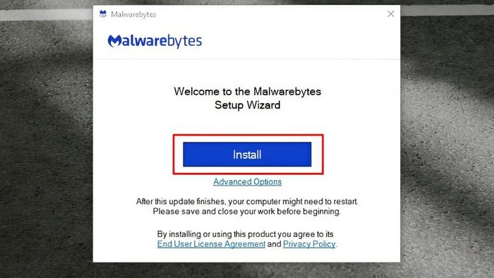 Hướng dẫn tải Malwarebytes Free về máy tính của bạn