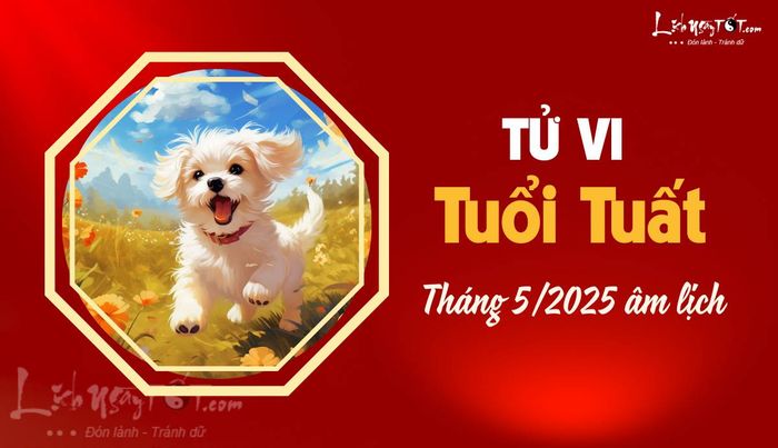Tử vi tháng 5 năm 2025 tuổi Tuất âm lịch