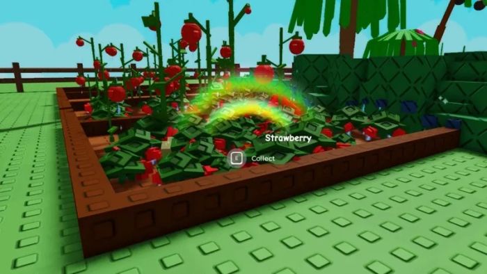 meo-choi-grow-a-garden-4